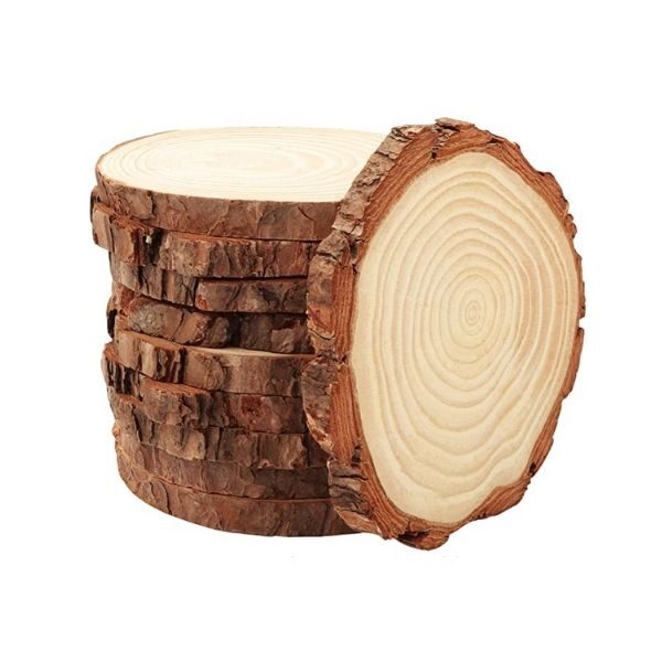 Dischetto tronco albero con corteccia 10 cm